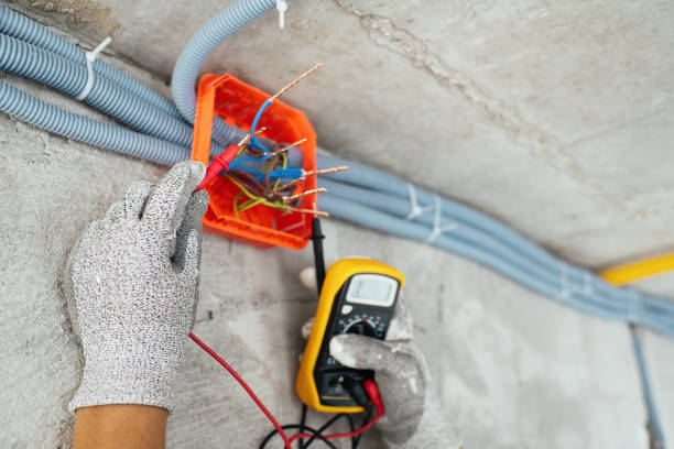 Best Generator Installation Services  in Mantachie, MS